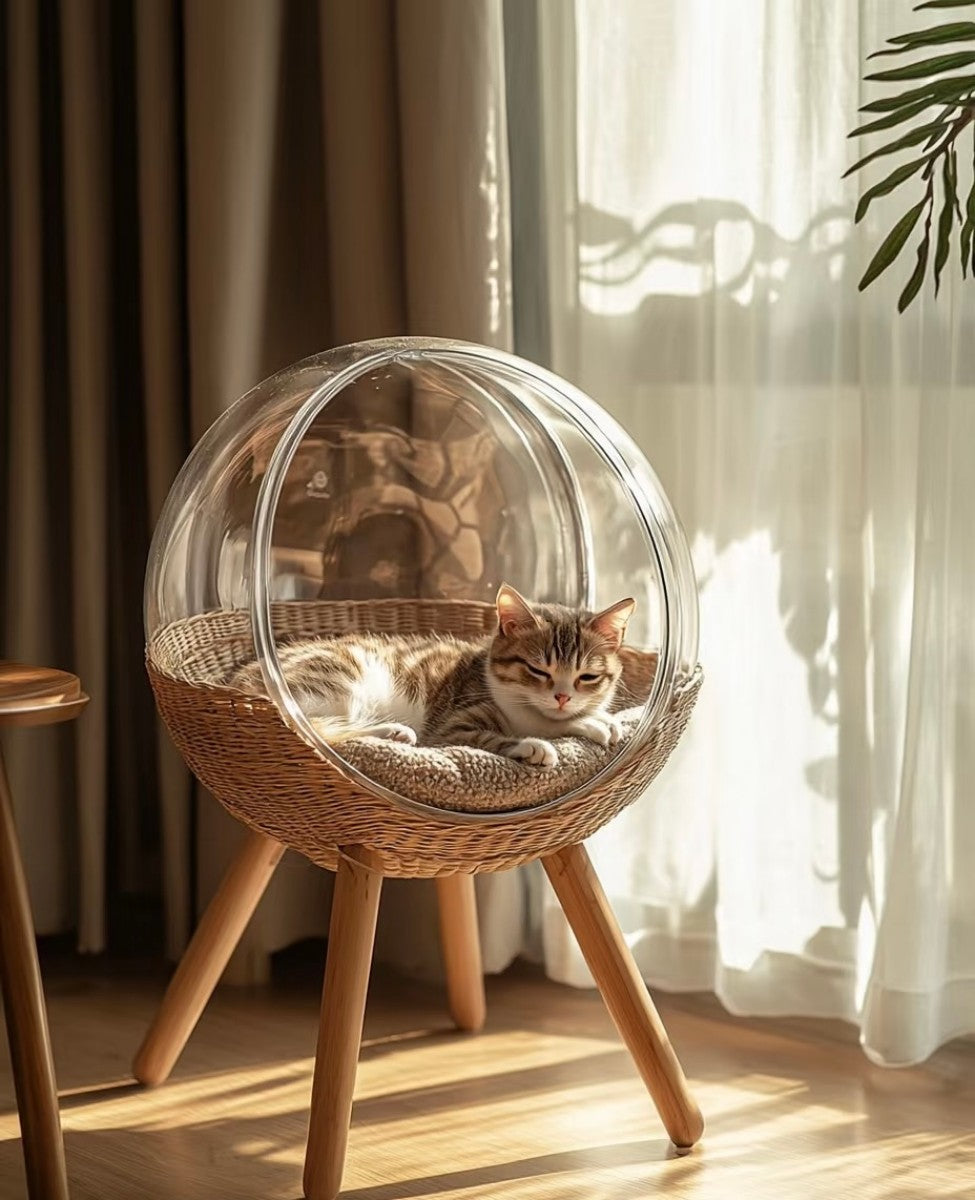 Modern Rattan Cat Bed with Dome Cover – Elevated Cat Lounge Chair